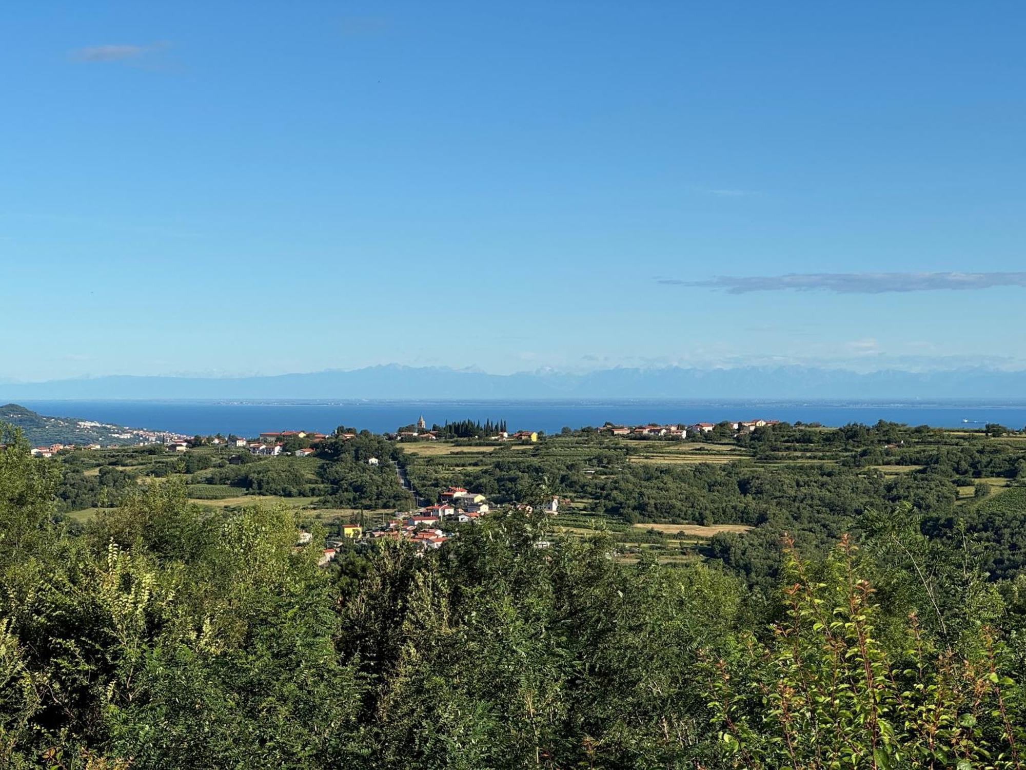 Guesthouse Green Istria Truške エクステリア 写真