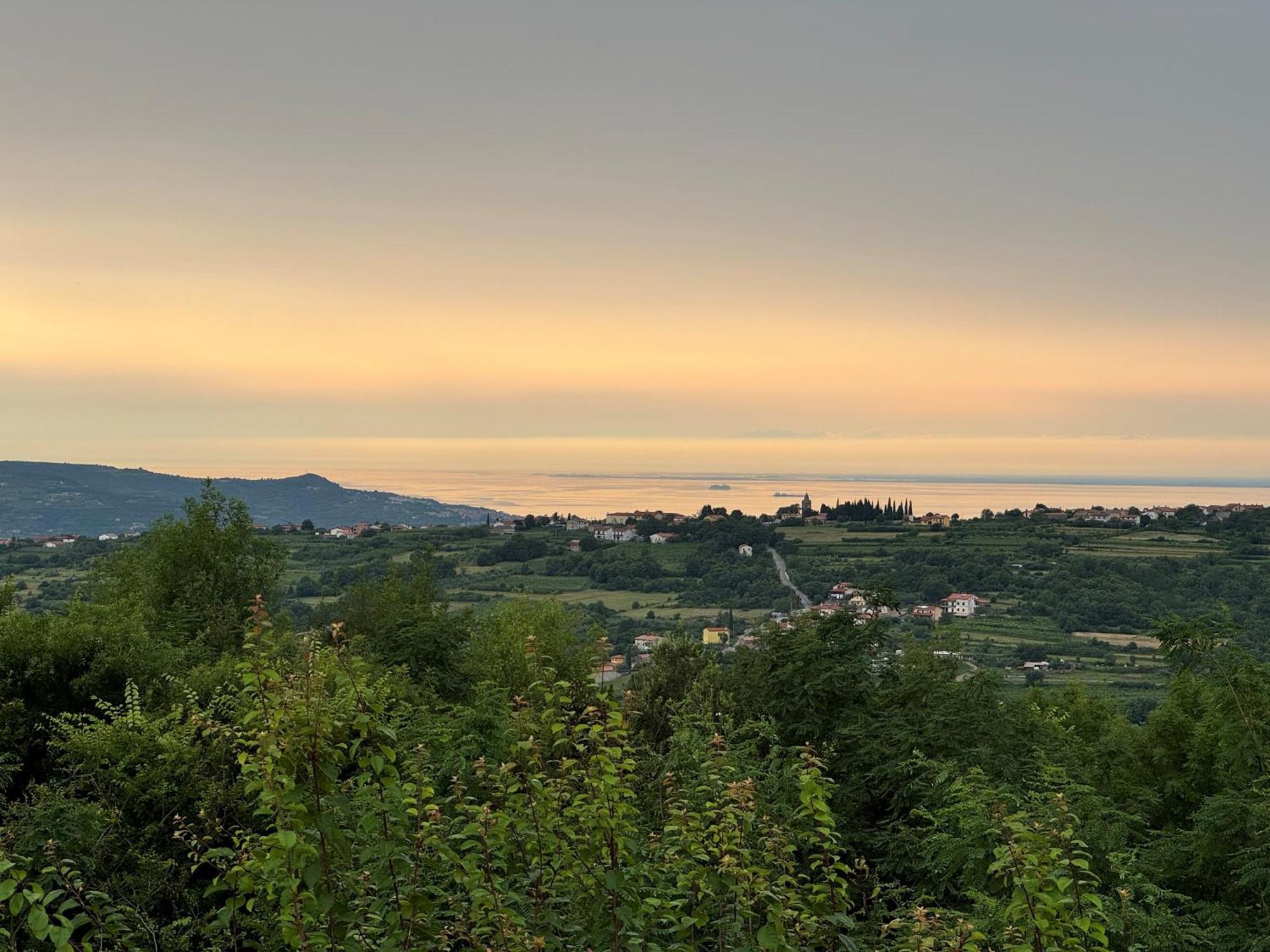 Guesthouse Green Istria Truške エクステリア 写真