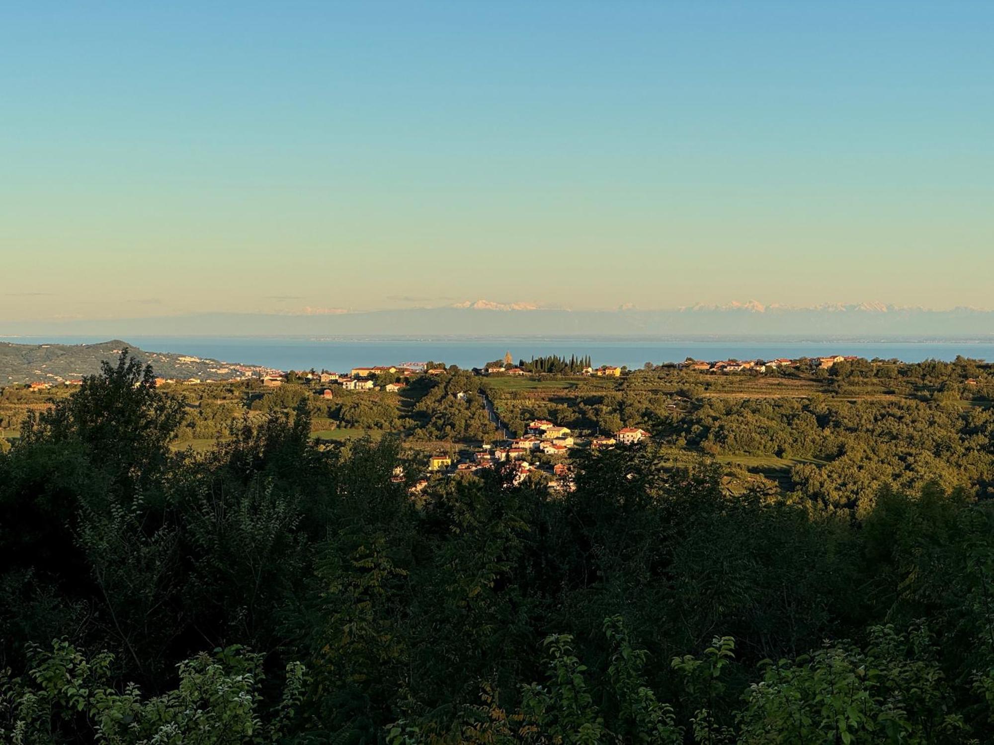 Guesthouse Green Istria Truške エクステリア 写真