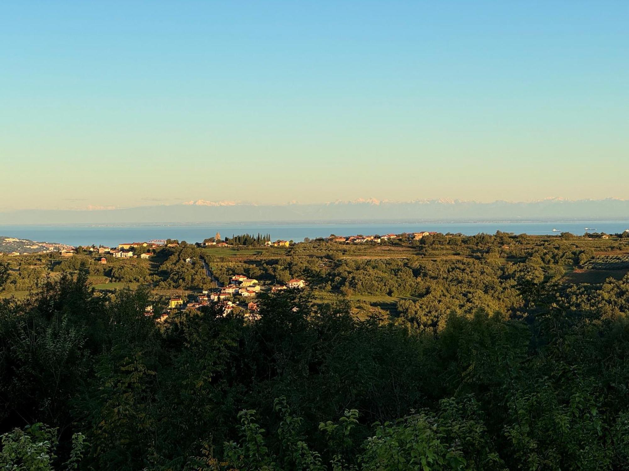 Guesthouse Green Istria Truške エクステリア 写真
